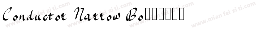 Conductor Narrow Bo字体转换